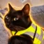Le Gilet Jaune icon