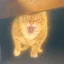 Long Live Gudzilly icon