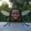 Fly cenat icon
