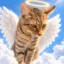 Justice for Tommy icon