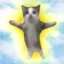 happy cat icon
