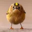Angry-Bird icon