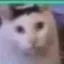 Huhcat icon