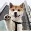 hello icon