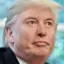 Donald Tusk icon