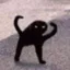 Omar icon