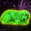 Pumpdog icon