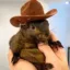 Pnut The Squirrel icon