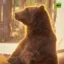 Chill Bear icon