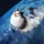 FLYING SPACE CAT icon