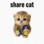 sharecat icon