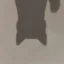 nuI ʍopɐɥS icon