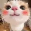 UwU icon