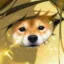 Act I : The Inu Prophecy icon