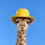 Giraffe In Fedora icon
