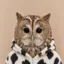 Cowl icon
