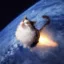 Flying Cat icon