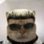 randy icon