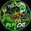 PEPE CAT icon