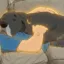 Justice For Moose icon