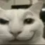 Smirk Cat icon
