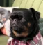 life after kimchi 40m icon