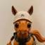A Ninja Tailed Horse icon