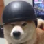 Soldier Inu icon