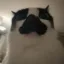 goob has risen icon