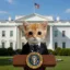 Presidential Catalyst icon