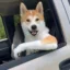 State Property Inu icon
