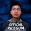 official ricegum icon