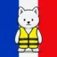 The Yellow Vest icon