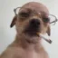 uncdog icon