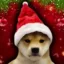 wifmas icon