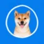 DogInCircle ARC CHAIN icon