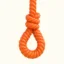 ROPED icon