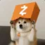Doxxed Inu icon
