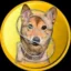 Tsukicoin icon