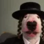 כֶּלֶב icon