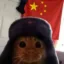 Communist Cat Party icon
