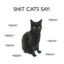 Anti-Meme Cat icon