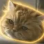 Justice For Felix icon