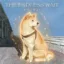 The Nietzschean Dog icon