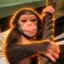 Cassie The Chimpanzee icon