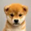Just a dog icon