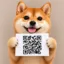 QRINU icon