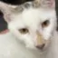 Justice For Jabali icon