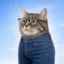 Supurr Intellijeans icon