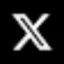 SpaceXTeslaxAIBoringCompanyX icon